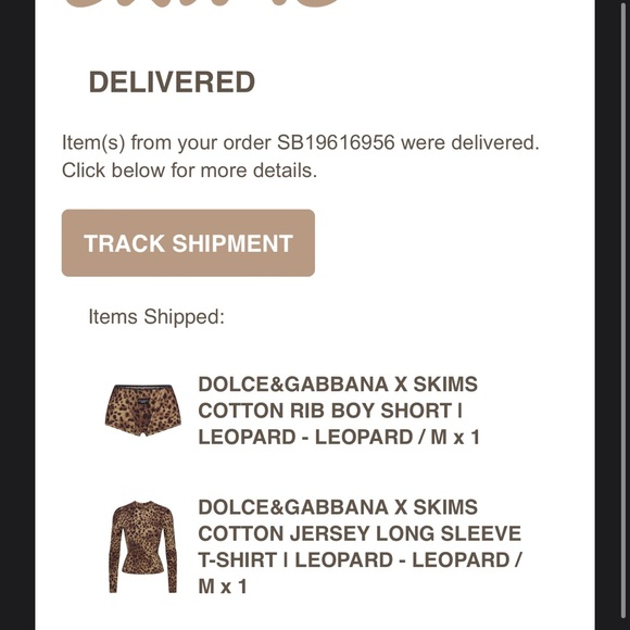 SKIMS Other - Skims Dolce & Gabbana Set